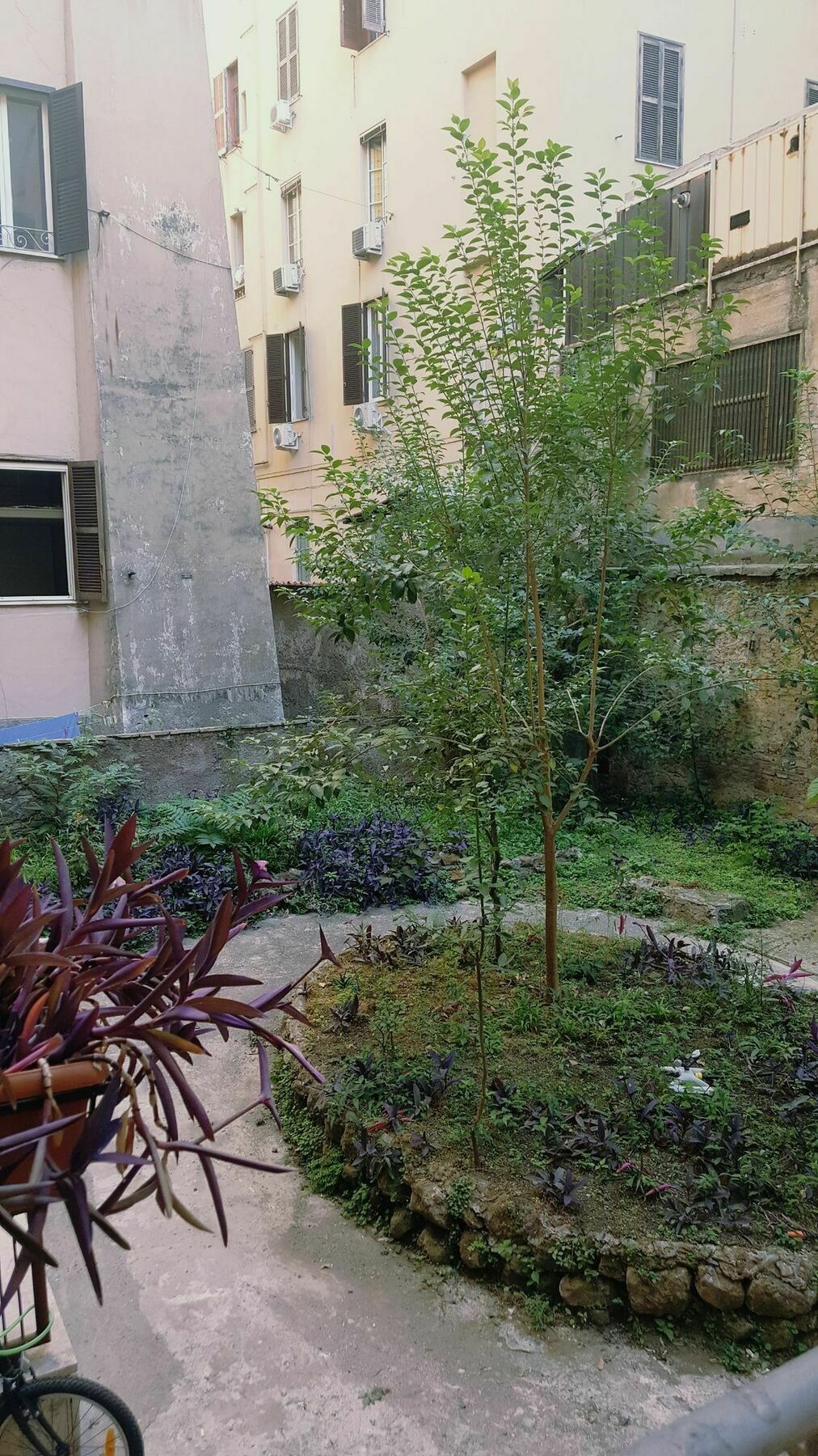 Marcelina Vaticans Rooms Roma Dış mekan fotoğraf
